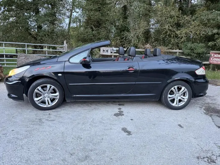 Peugeot 307 Cc 2008 photo 5