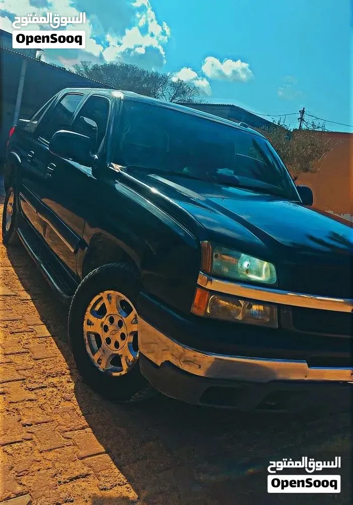 Chevrolet Silverado 2005 photo 2