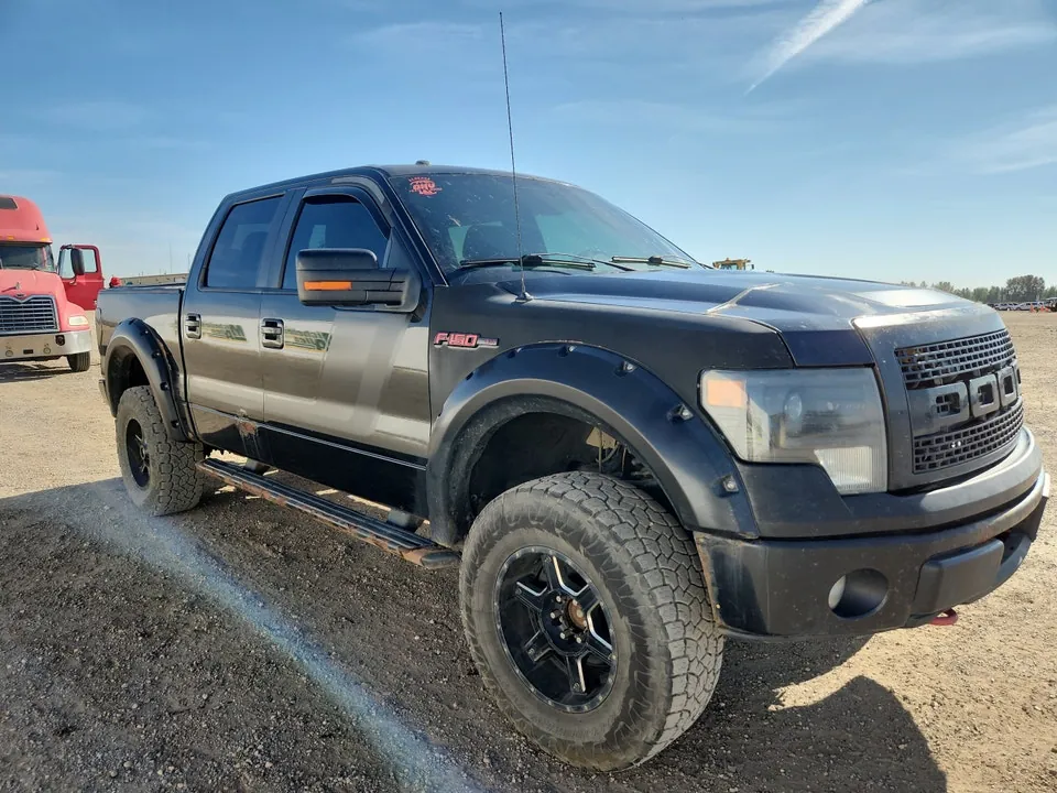 Ford F-150 2014 photo 2