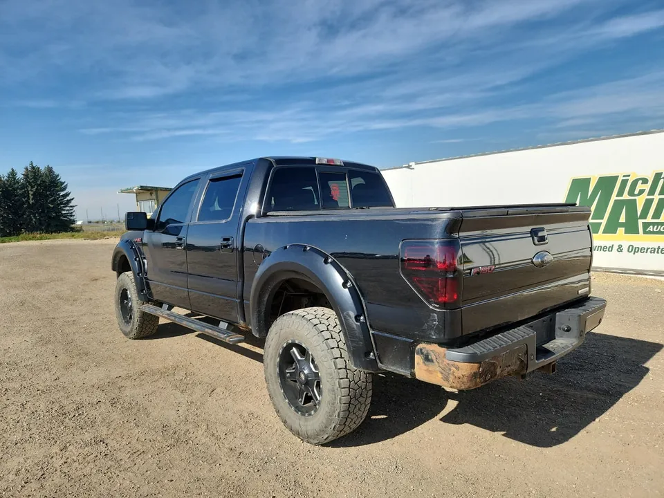 Ford F-150 2014 photo 3