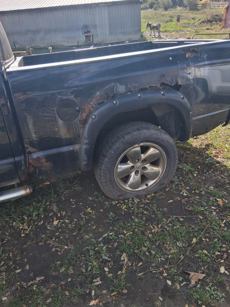 Dodge Ram 1500 2005 photo 4