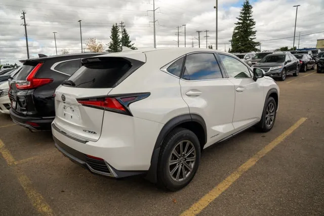 Lexus Nx 2020 photo 3
