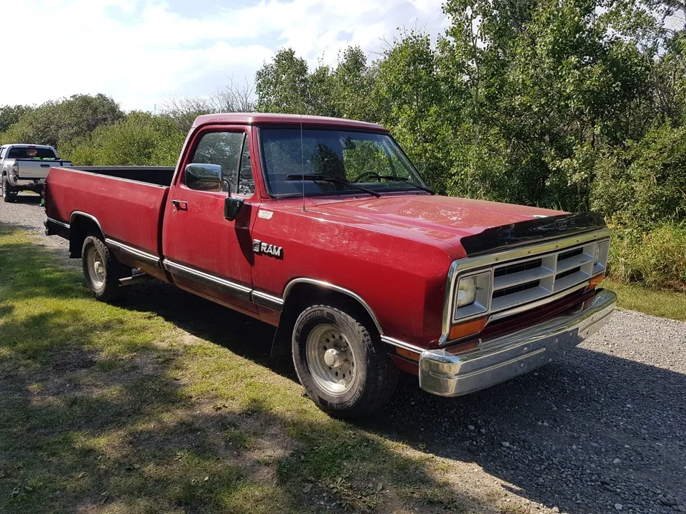 Dodge D100