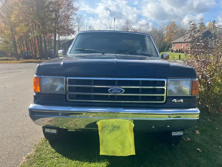 Ford F-150 1990 photo 2