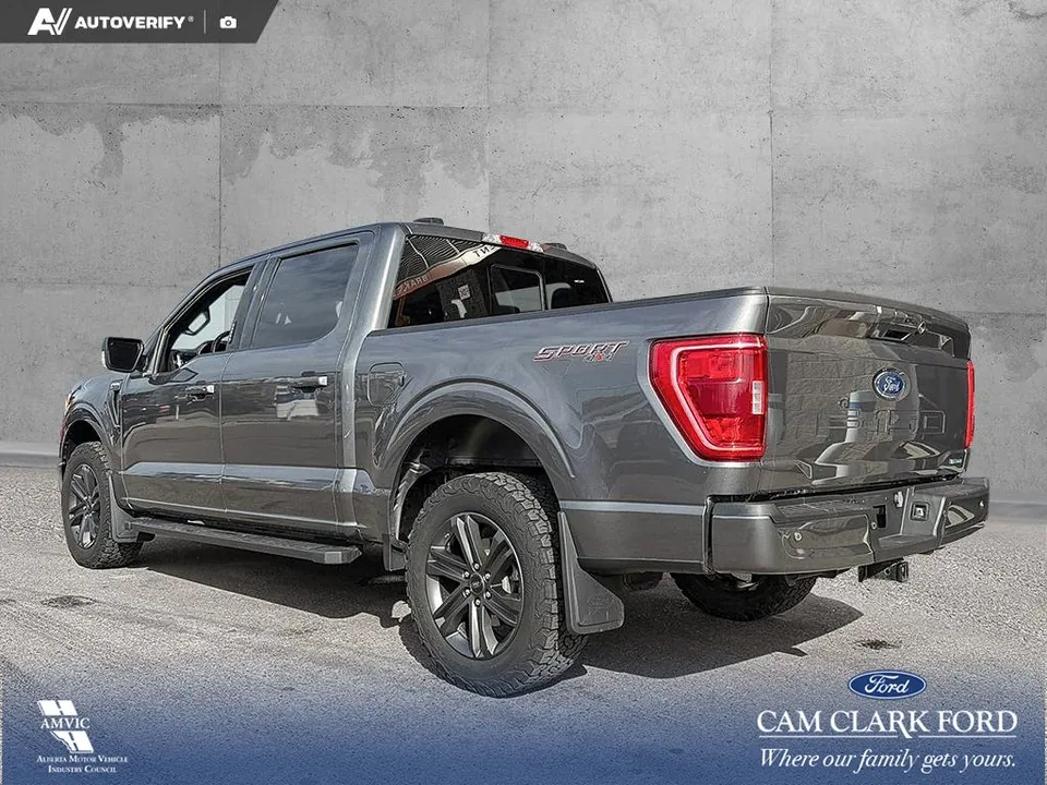 Ford F-150 2023 photo 4