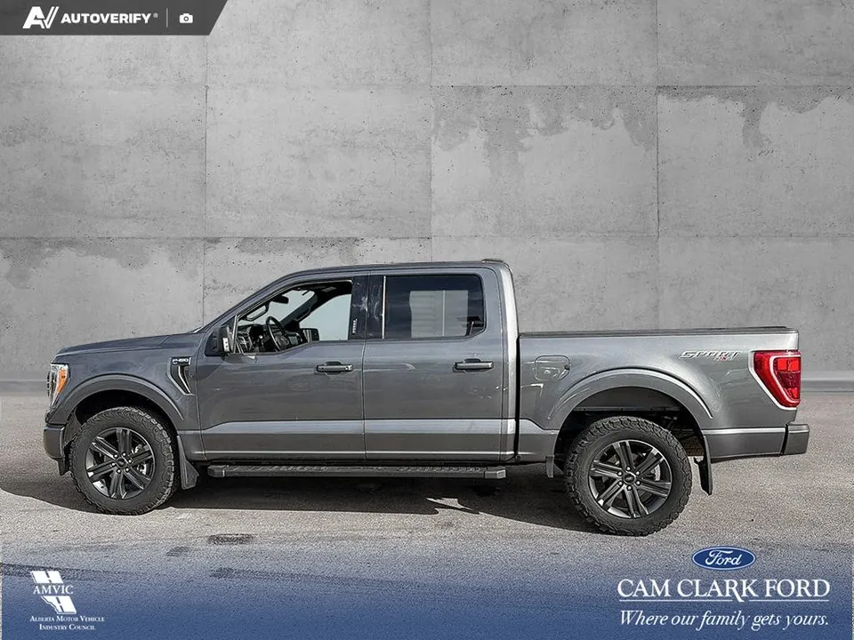 Ford F-150 2023 photo 3