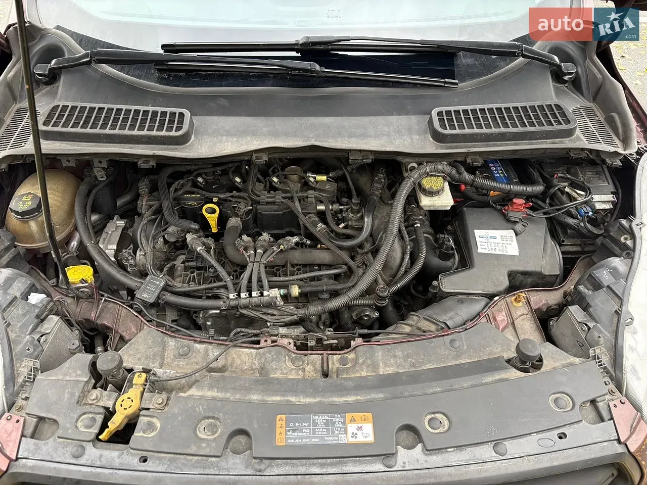 Ford Escape 2018 photo 2