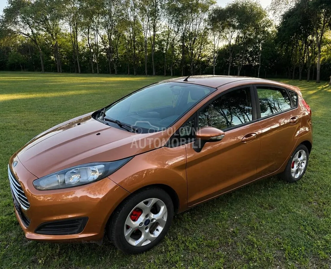 Ford Fiesta 2013 photo 2