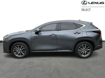 Lexus Nx 2022 photo 2