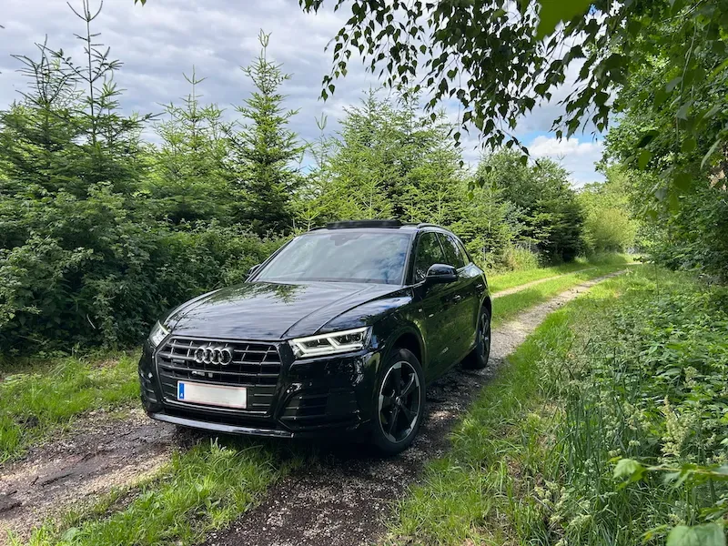 Audi Q5 2019 photo 3