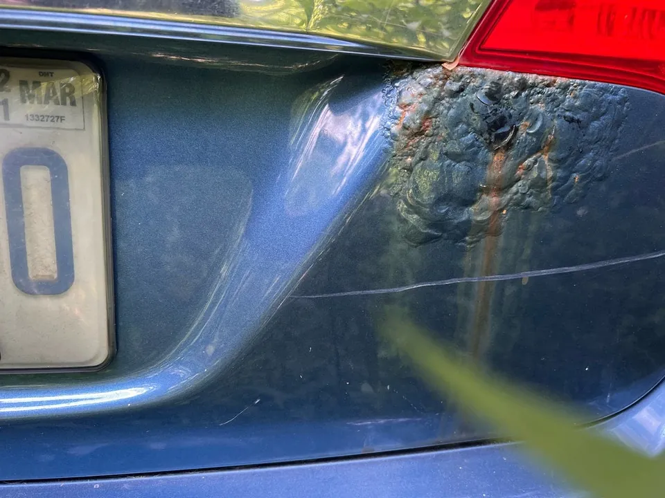 Honda Civic 2010 photo 4
