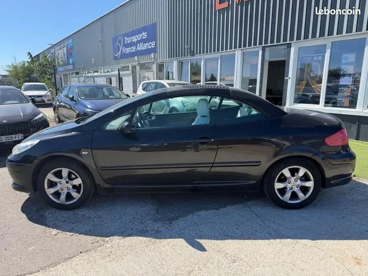 Peugeot 307 2007 photo 3