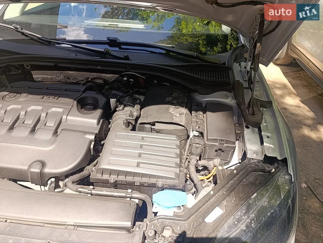 Skoda Superb 2016 photo 5