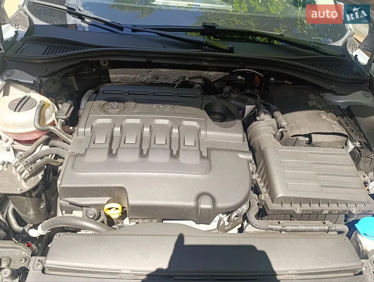 Skoda Superb 2016 photo 4