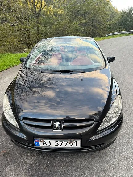 Peugeot 307 2005 photo 2