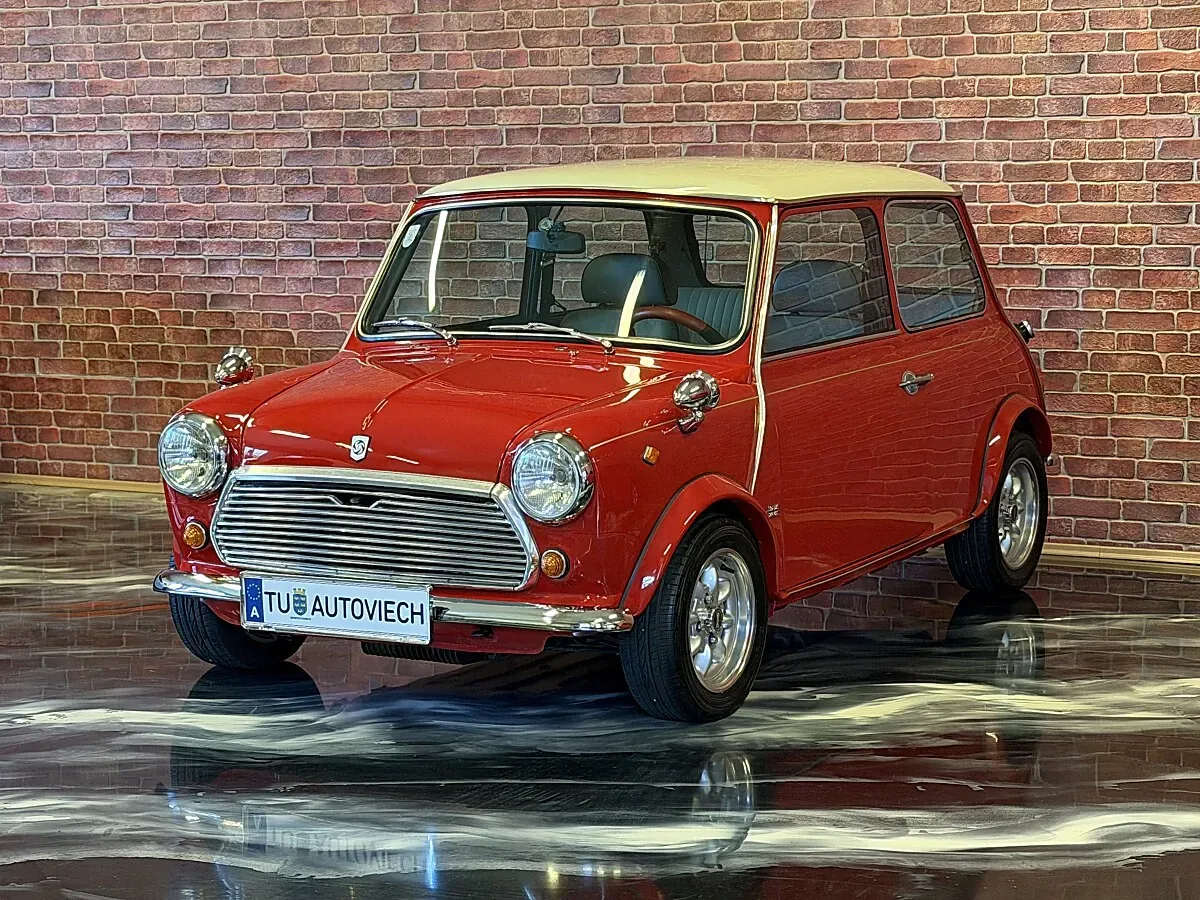 Mini Sonstige