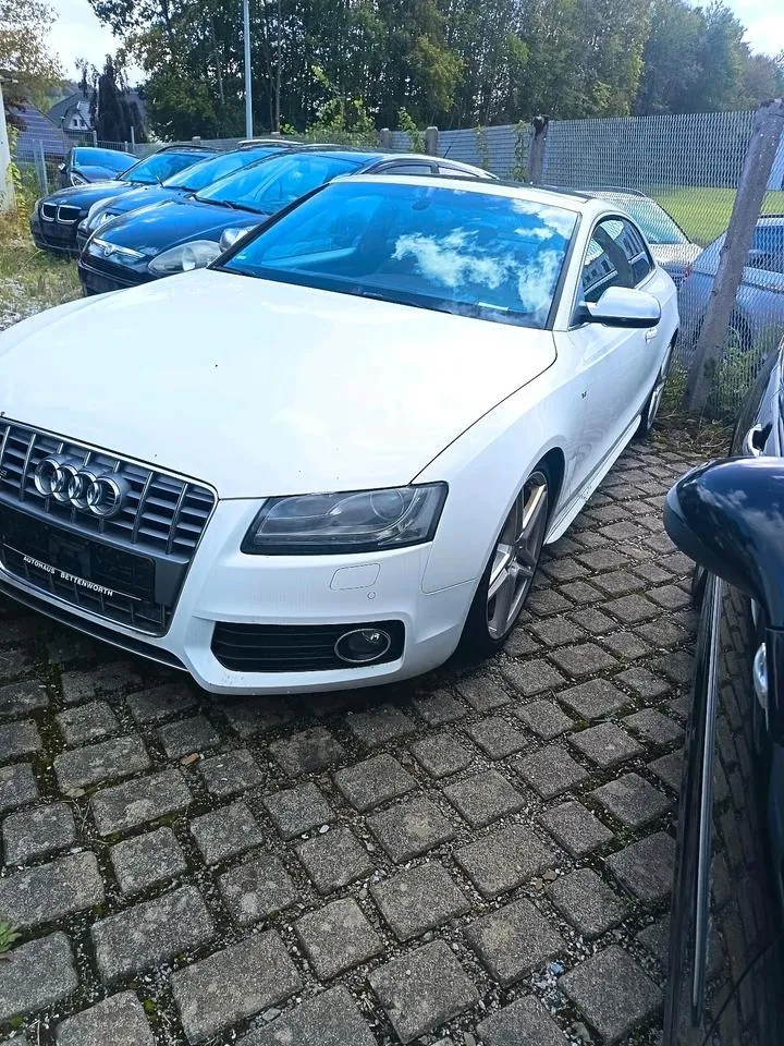 Audi S5 Coupe