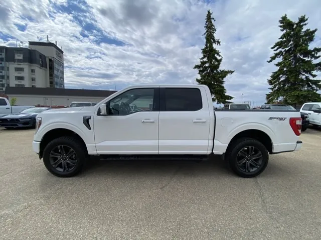 Ford F-150 2023 photo 4