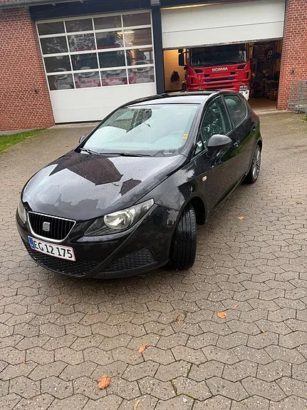 Seat Ibiza 2010 photo 2