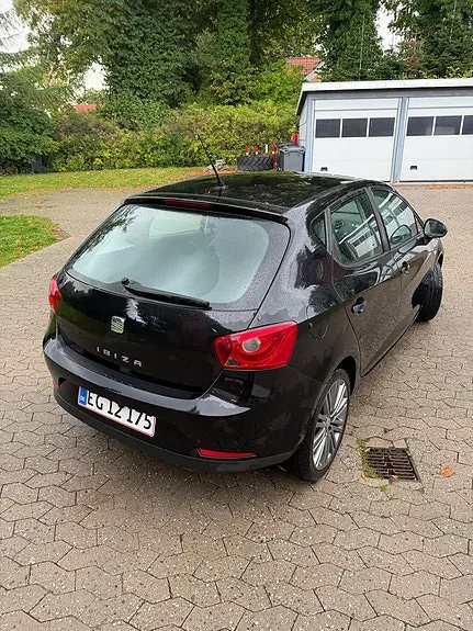 Seat Ibiza 2010 photo 3
