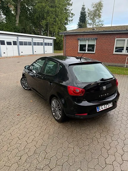 Seat Ibiza 2010 photo 4