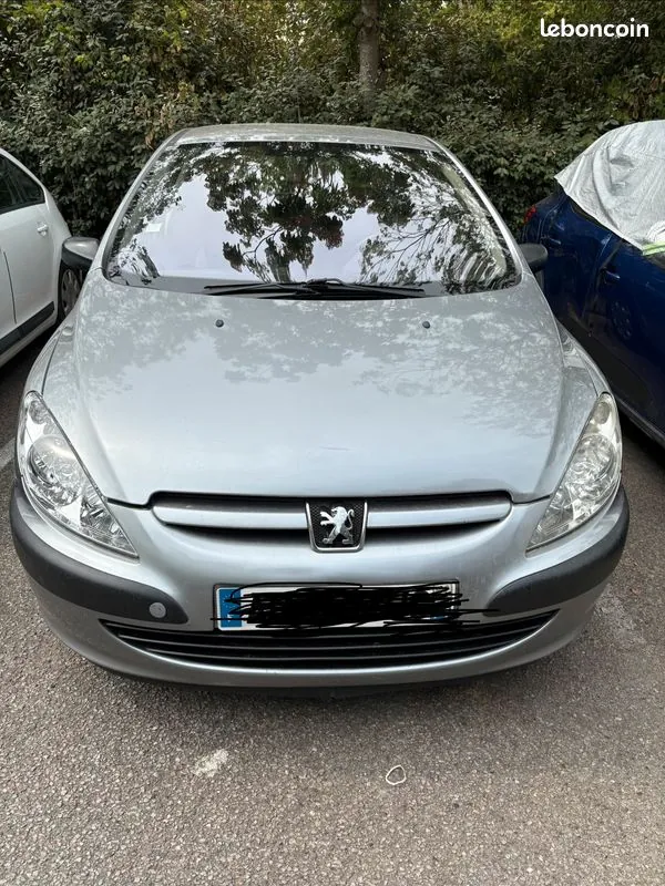 Peugeot 307 2002 photo 2