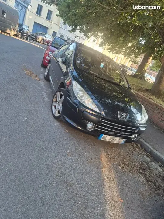 Peugeot 307 2006 photo 2