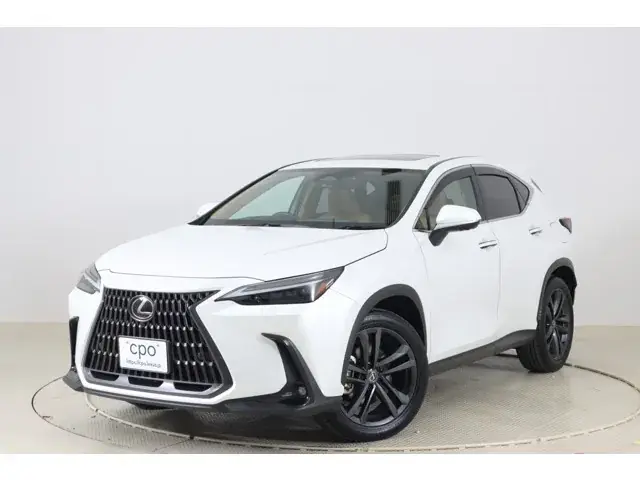 Toyota Nx