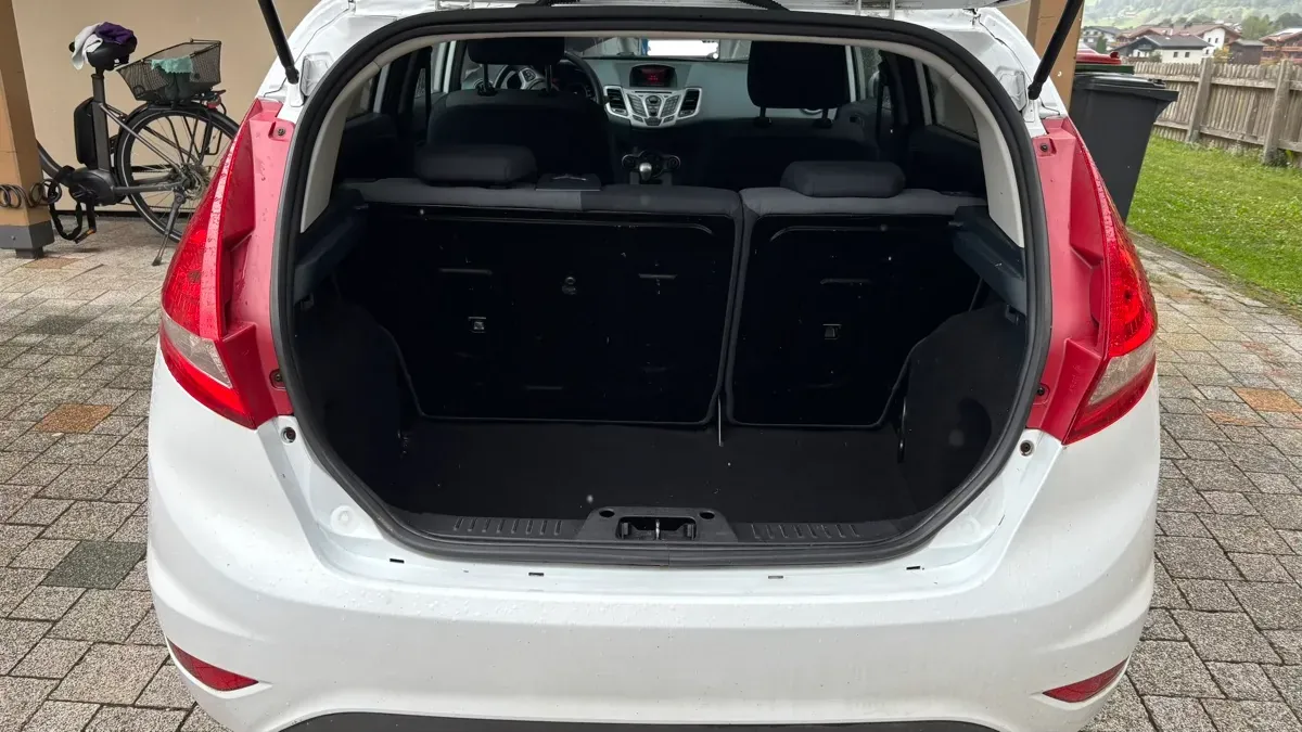 Ford Fiesta 2010 photo 3