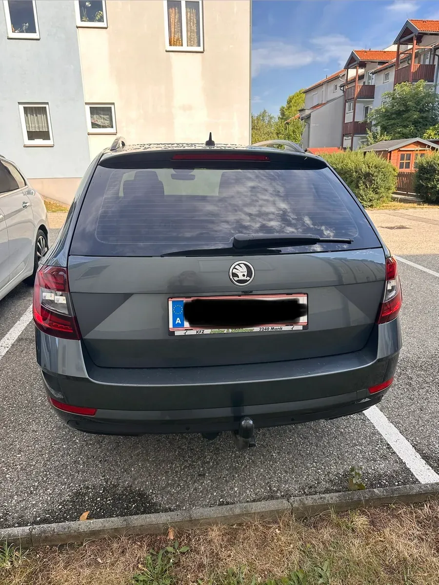 Skoda Octavia 2019 photo 2