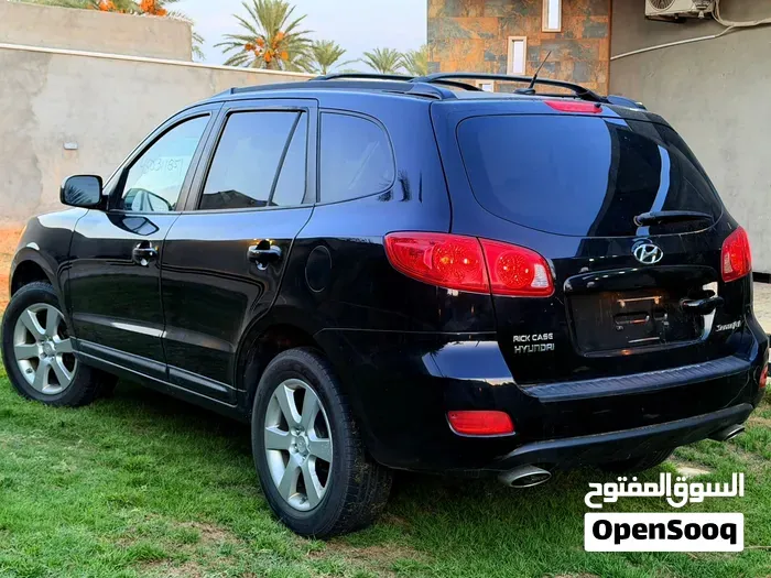 Hyundai Santa Fe 2008 photo 2