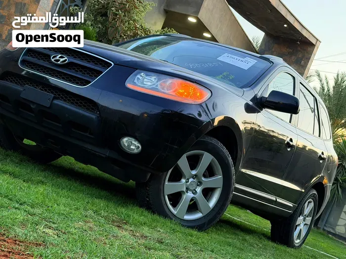 Hyundai Santa Fe 2008 photo 3
