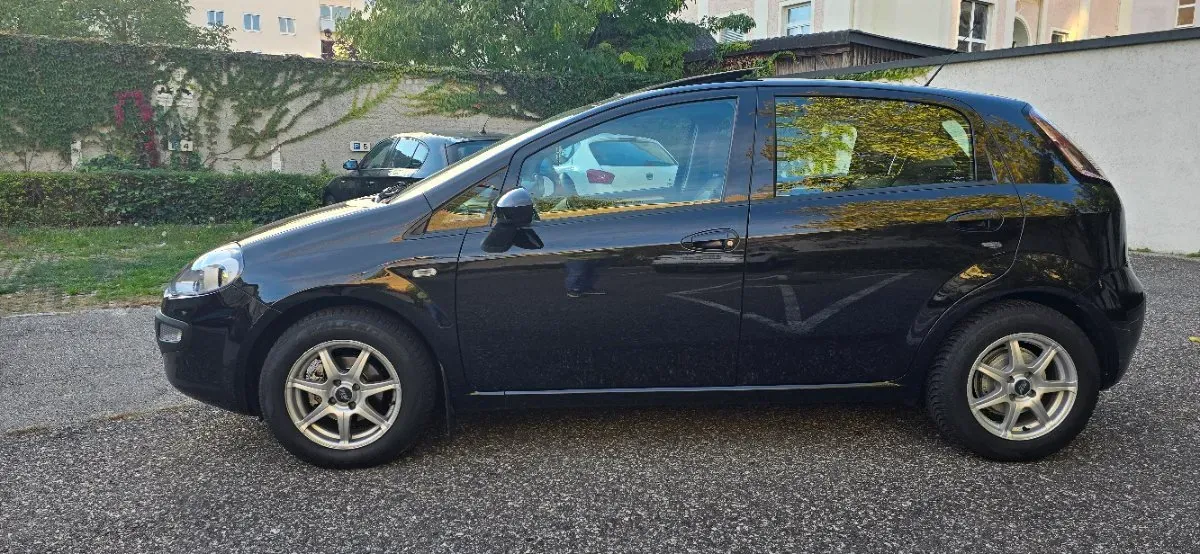 Fiat Punto 2010 photo 3