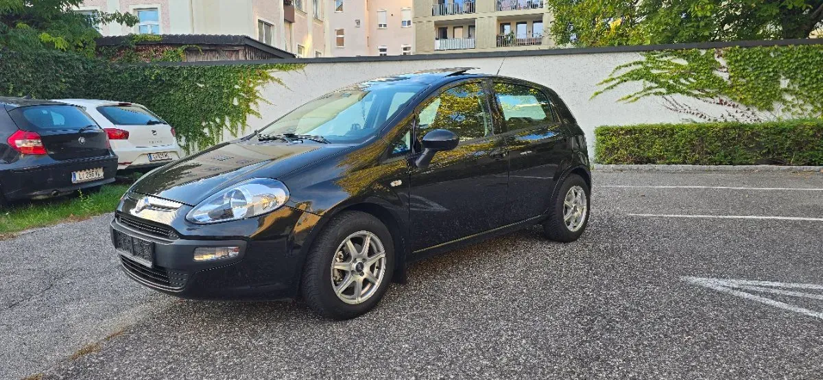 Fiat Punto 2010 photo 2