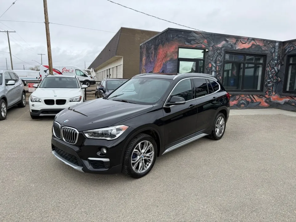 BMW X1 2019 photo 5