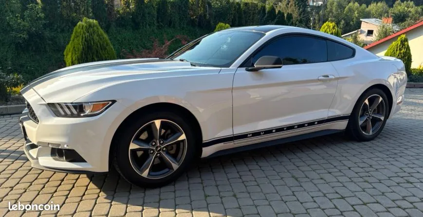 Ford Mustang 2014 photo 2