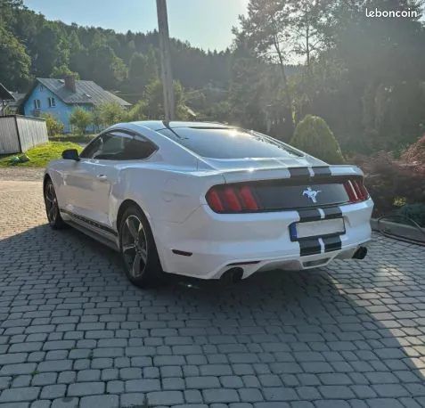 Ford Mustang 2014 photo 5
