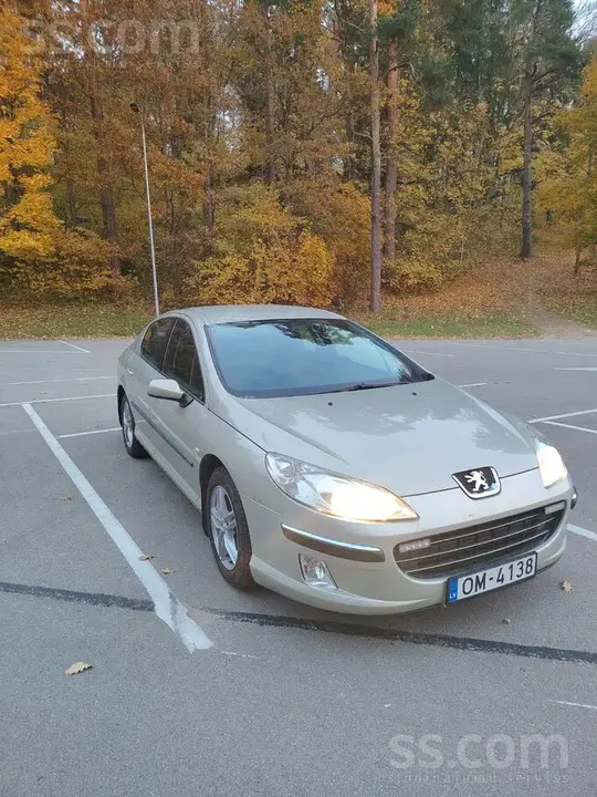 Peugeot 407 2008 photo 2