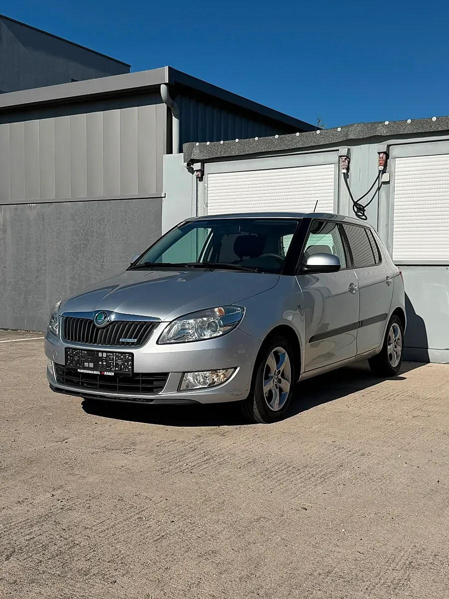 Skoda Fabia 2012 photo 2