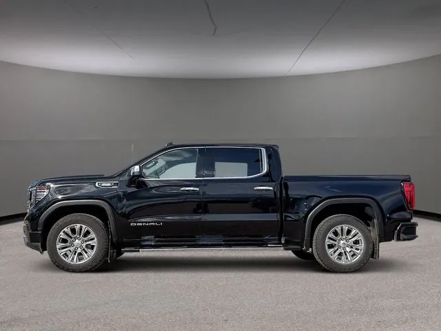 GMC Sierra 1500 2024 photo 4