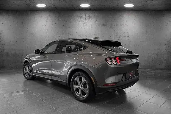 Ford Mustang Mach-E 2021 photo 3
