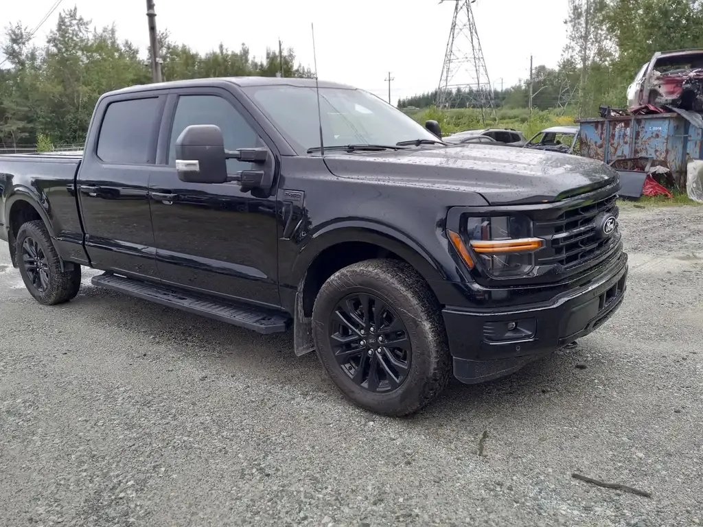 Ford F-150 2024 photo 5