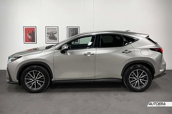 Lexus Nx450H+ 2024 photo 3