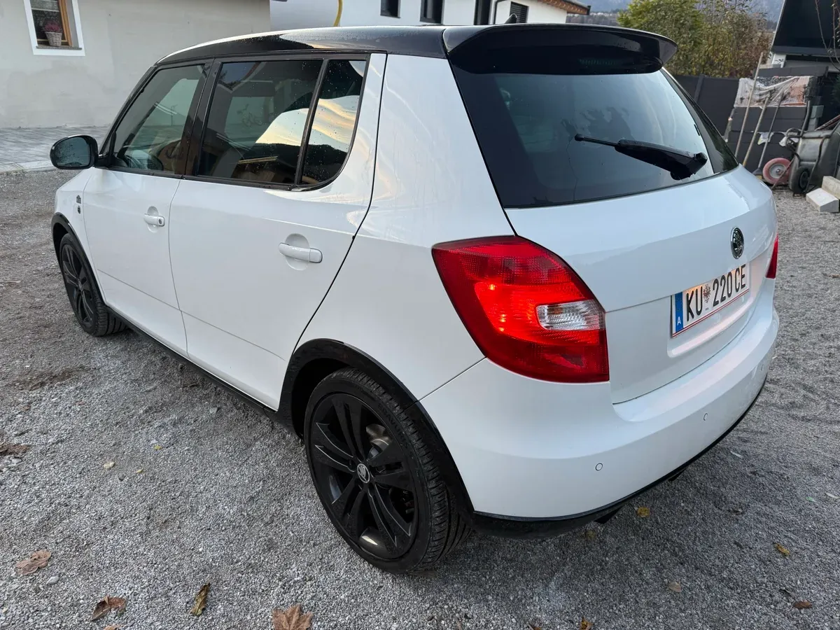 Skoda Fabia 2014 photo 2