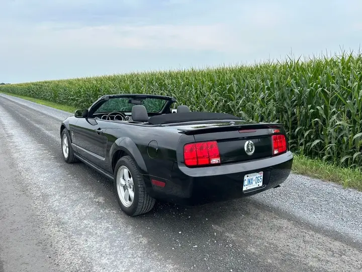 Ford Mustang 2007 photo 5
