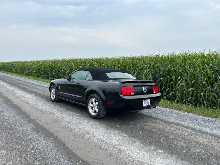 Ford Mustang 2007 photo 3