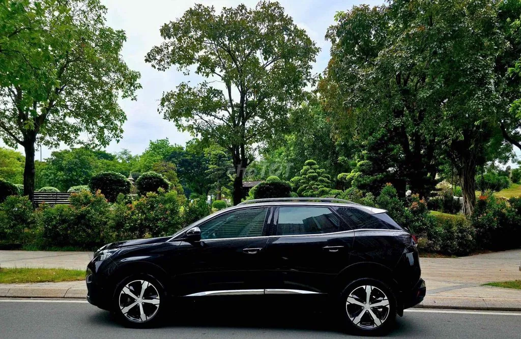 Peugeot 3008 2021 photo 3