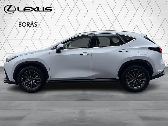 Lexus Nx350H 2026 photo 3