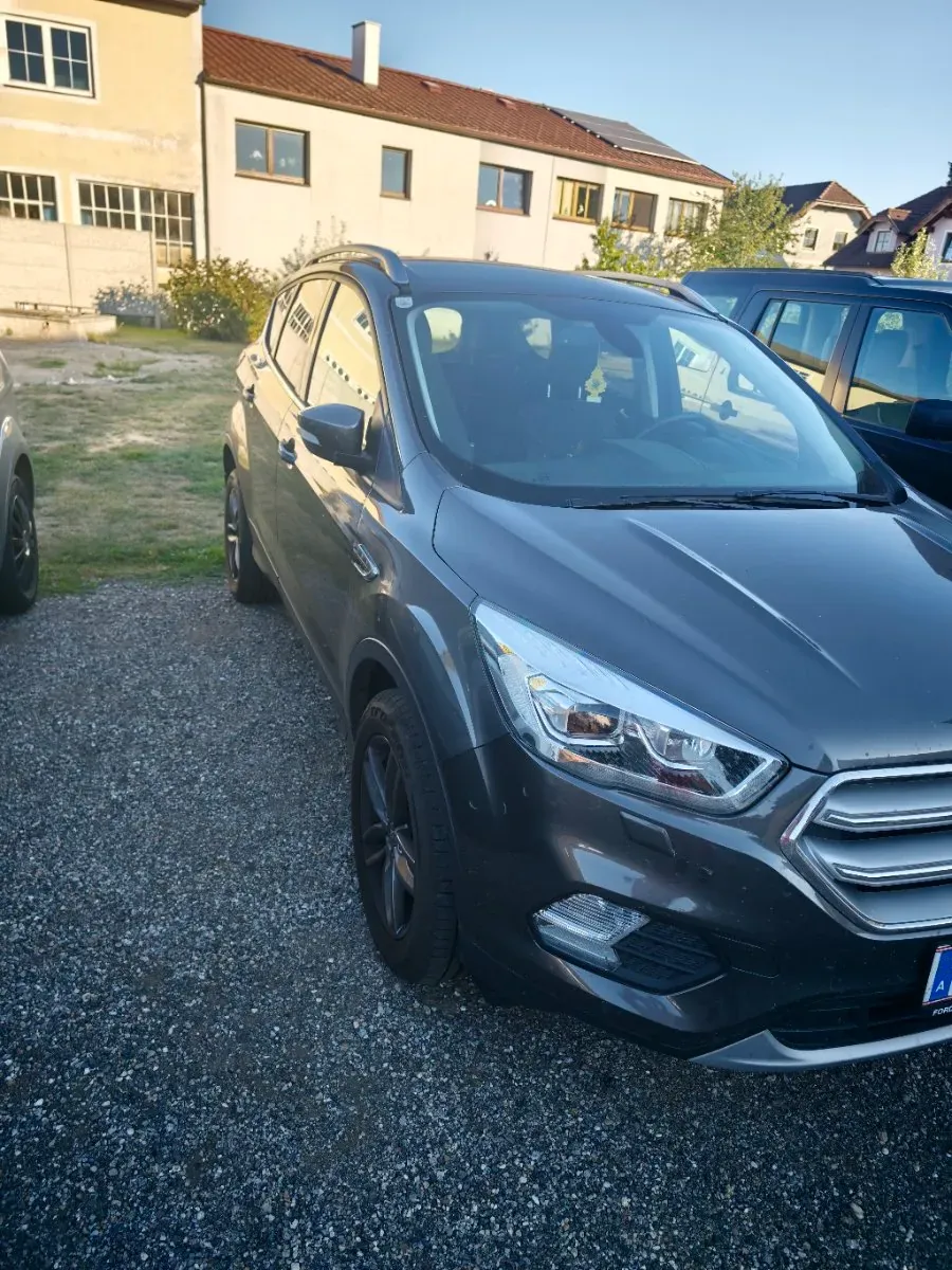Ford Kuga 2019 photo 3