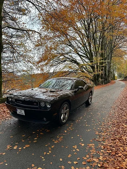 Dodge Challenger 2010 photo 3